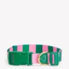 Dog Collar Green/Pink Stripe Dog Collar Green/Pink Stripe