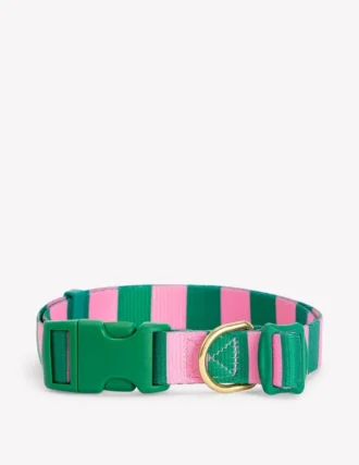 Dog Collar Green/Pink Stripe