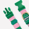 Dog Collar Green/Pink Stripe Dog Collar Green/Pink Stripe