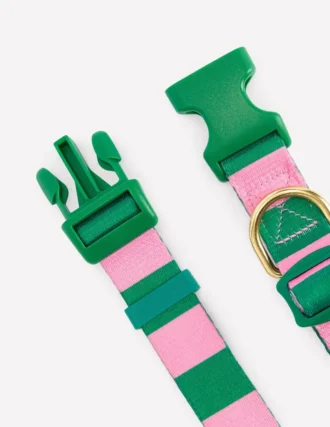 Dog Collar Green/Pink Stripe
