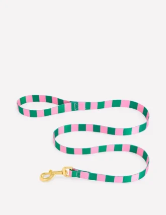 Dog Lead Green/Pink Stripe
