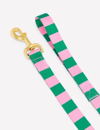 Dog Lead Green/Pink Stripe