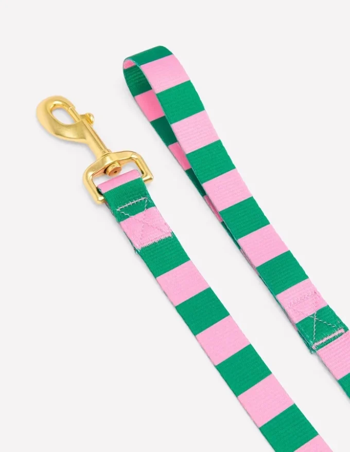 Dog Lead Green/Pink Stripe Dog Lead Green/Pink Stripe