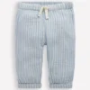 Double Cloth Pants Light Blue Stripe