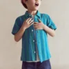 Double Cloth Shirt Green and Blue Stripe