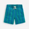 Double Cloth Shorts Green and Blue Stripe Double Cloth Shorts Green and Blue Stripe