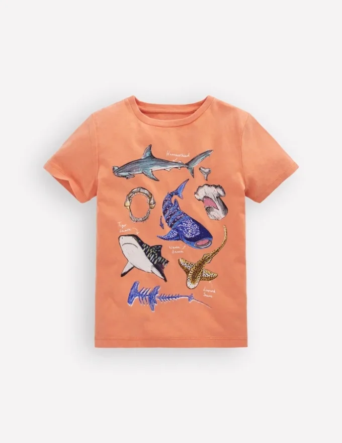 Educational T-shirt ORANGE SHARKS Educational T-shirt ORANGE SHARKS