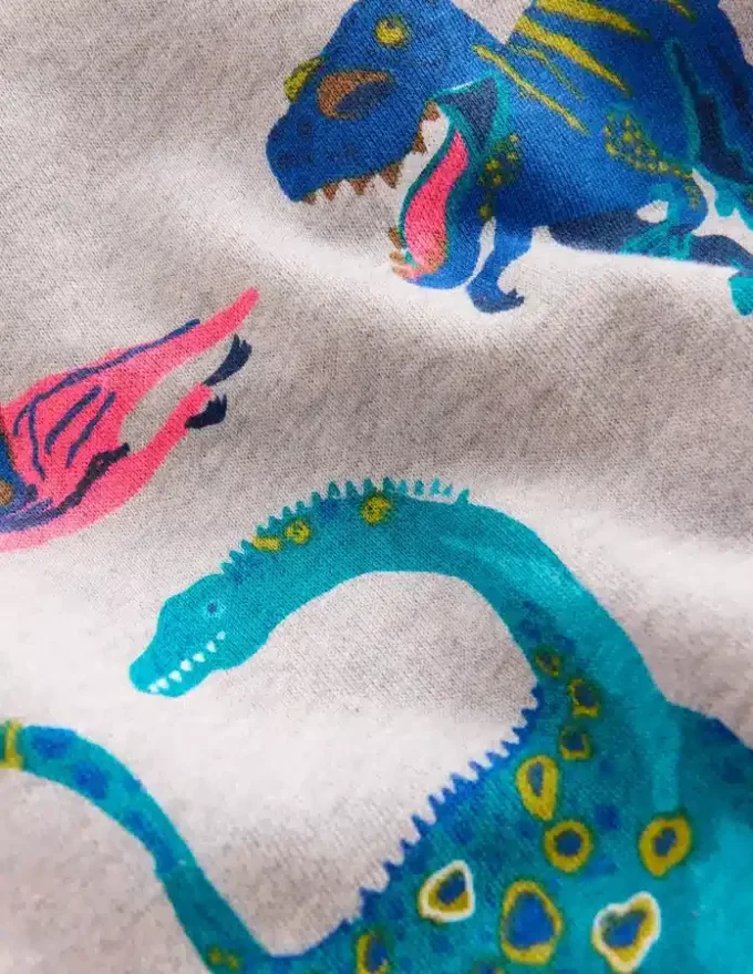 Everyday Printed Sweatshirt Grey Dinos