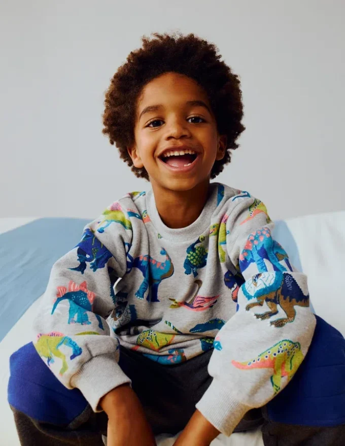 Everyday Printed Sweatshirt Grey Dinos