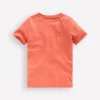 Everyday Short Sleeve T-Shirt Burnt Sienna