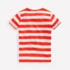 Everyday Short Sleeve T-Shirt Fiesta / Coconut Milk