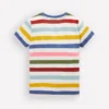 Everyday Short Sleeve T-Shirt Multi Stripe