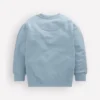 Fun Sweatshirt Seamist Blue Chillies Fun Sweatshirt Seamist Blue Chillies