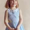 Novelty Cross-back Dress Blue Daisy Applique Novelty Cross-back Dress Blue Daisy Applique