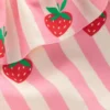One Shoulder Frill Bikini Set Pink strawberry stripe