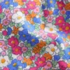 Pretty Jersey Shorts Festival Pink Nautical Floral