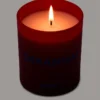Single Candle Geranium Single Candle Geranium