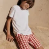 Smart Shorts Red Gingham Smart Shorts Red Gingham