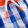 Swim Shorts Blue Gingham