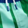 Swim Shorts Contrast Stripe