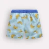 Swim Shorts Multi Banana Stripe Swim Shorts Multi Banana Stripe
