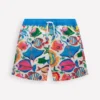 Swim Shorts Swimming Fish Swim Shorts Swimming Fish