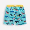 Swim Shorts Swimming Whales