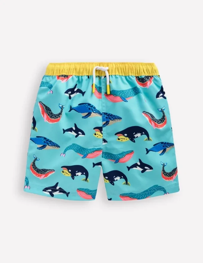 Swim Shorts Swimming Whales