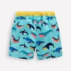 Swim Shorts Swimming Whales