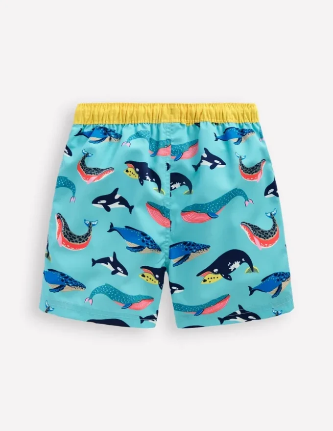 Swim Shorts Swimming Whales