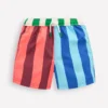 Swim Shorts Vertical Multi Stripe