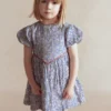 V-waist Woven Dress Bluejay Cherry Stripe